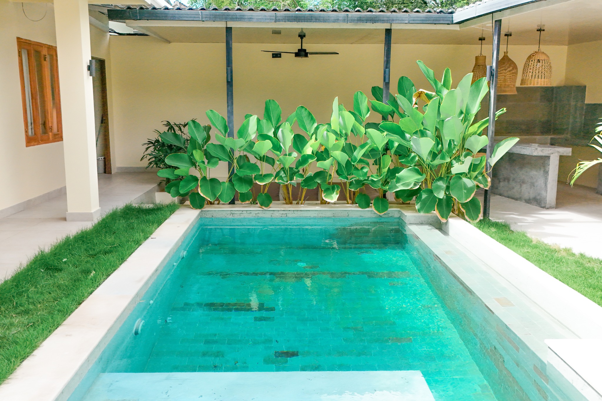 Pool and tropical garden